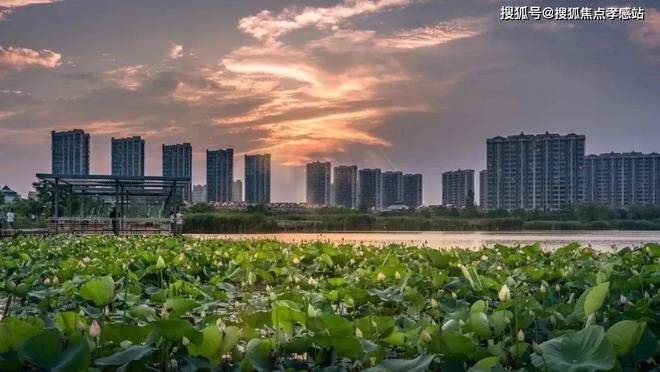 网站)留香园售楼处电话-大华星曜楼盘详情龙八国际娱乐网站绿城·留香园(2025年(图14)