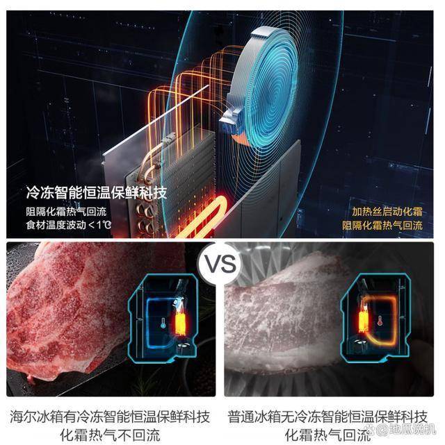 GHFD1BWLU1：国补1240元超薄多门冰箱long8唯一登录海尔山茶花系列BCD-485W(图5)